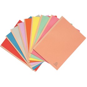 EXACOMPTA Chemise à soufflet. en carton. 320 g/m2. assorties