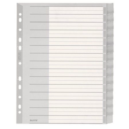 Leitz 12760000 intercalaire de classement Onglet avec index vierge Plastique Gris