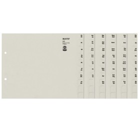 Leitz 13510085 intercalaire de classement Onglet avec index alphabétique Papier Gris Leitz 13510085 intercalaire de classement Onglet avec index alphabétique Papier Gris