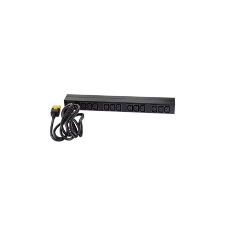 APC Basic Rack PDU unité de distribution d'énergie 12 sortie(s) CA 0U 1U Noir