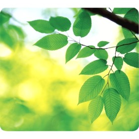 Fellowes Tapis Earth Series Feuilles Fellowes Tapis Earth Series Feuilles