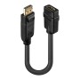 Lindy 41005 câble vidéo et adaptateur 0,15 m DisplayPort HDMI Noir