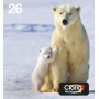 Epson Polar bear Multipack 4-colours 26 EasyMail