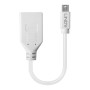 Lindy 41021 câble DisplayPort 0,15 m Mini DisplayPort Blanc