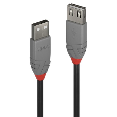 Lindy 36700 câble USB 0,2 m USB 2.0 USB A Noir, Gris