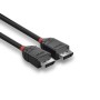 Lindy 36490 câble DisplayPort 0,5 m Noir