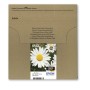 Epson Daisy Multipack EasyMail "Pâquerette" 18XL - Encre Claria Home N,C,M,J