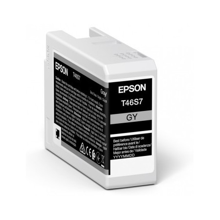 Epson UltraChrome Pro cartouche d'encre 1 pièce(s) Original Gris