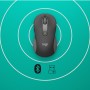 Logitech Signature M650 souris Droitier RF sans fil + Bluetooth Optique 4000 DPI