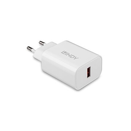 Lindy 73412 chargeur d'appareils mobiles Smartphone, Tablette Blanc Secteur Charge rapide Intérieure, Extérieure