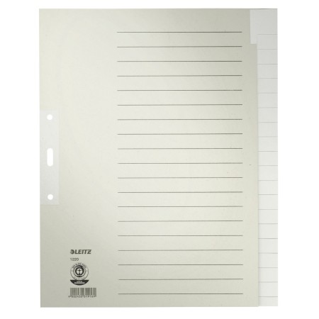 Leitz 12200085 intercalaire de classement Onglet avec index vierge Papier Gris