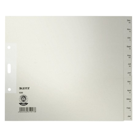 Leitz 12300085 intercalaire de classement Onglet avec index mensuel Papier Gris