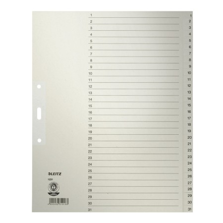 Leitz 12310085 intercalaire de classement Onglet avec index numérique Papier Gris