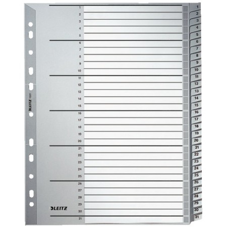 Leitz 12810000 intercalaire de classement Onglet avec index numérique Carton Gris