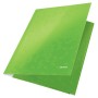 Leitz 39820054 fichier Carton, Polypropylène (PP) Vert A4