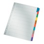 Leitz 43210000 intercalaire de classement Onglet avec index vierge Carton Multicolore