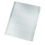 Leitz 43280000 intercalaire de classement Onglet avec index alphabétique Carton Gris