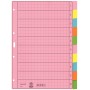 Leitz 43400000 intercalaire de classement Onglet avec index vierge Papier Multicolore