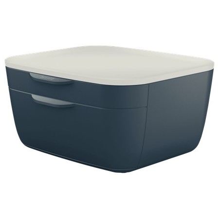 Leitz 53570089 bac de rangement de bureau Polystyrène Noir, Blanc