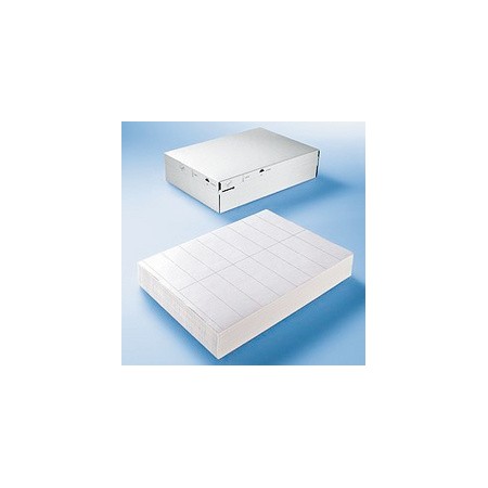 HERMA Etiquette universelle DATAPRINT. 210 x 148.5 mm. blanc